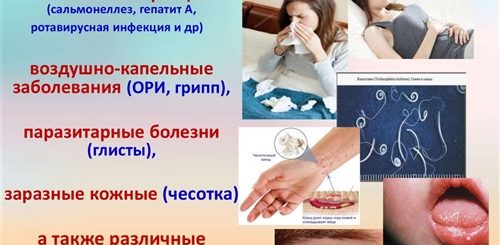 Болезни Передающиеся Через Куни