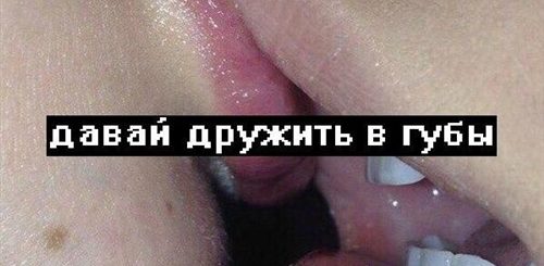 Давай Дружить Куни
