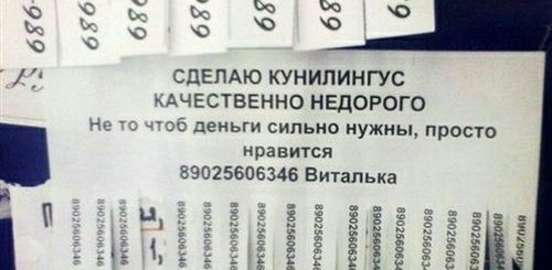 Объявления Сделаю Куни