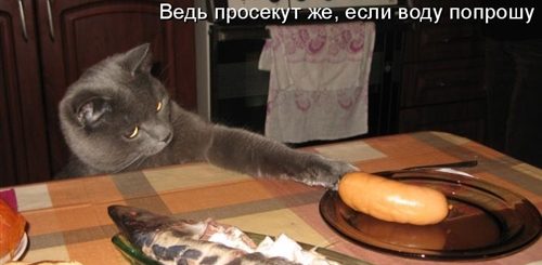 Почему бы не отдохнуть от учебы и просто позволить ему съесть твою киску