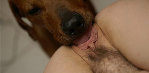 Смотреть Порно Собака Делает Куни